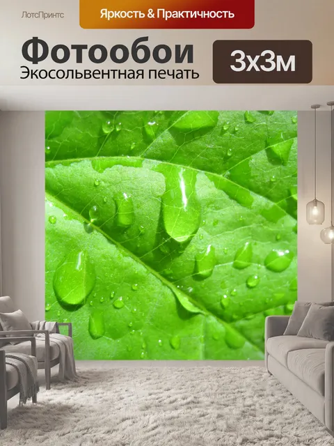 Фотообои Капли воды на листьях