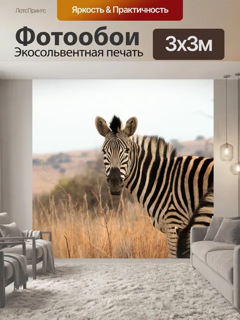 Фотообои Зебра закрыть