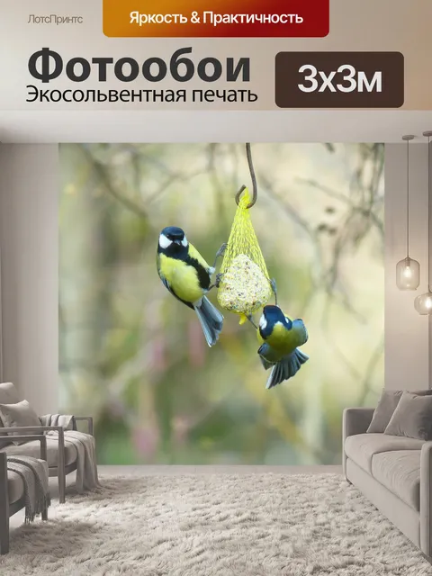 Фотообои Синица
