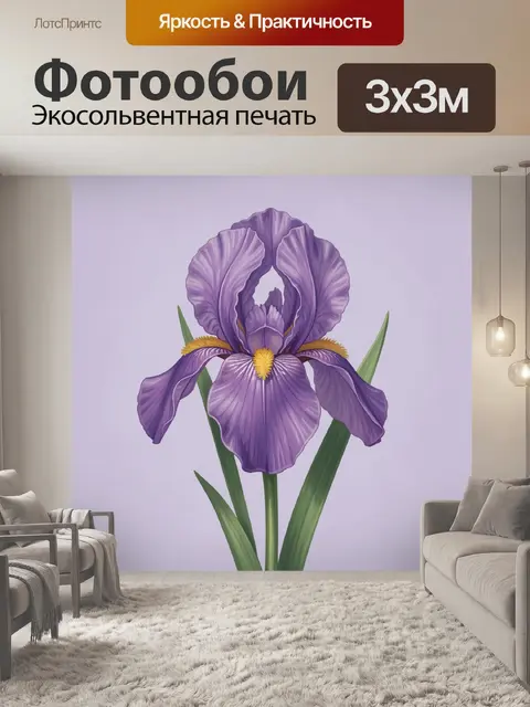 300 × 300 см · Экосольвентная печать