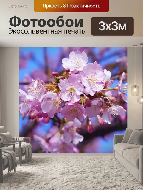 Фотообои Цветущая сакура кавадзу