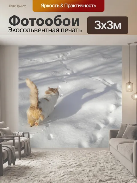 Фотообои Кошка ходит