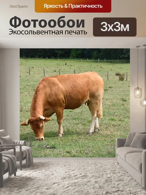 Фотообои Корова