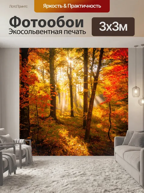 Фотообои лес с густыми деревьями