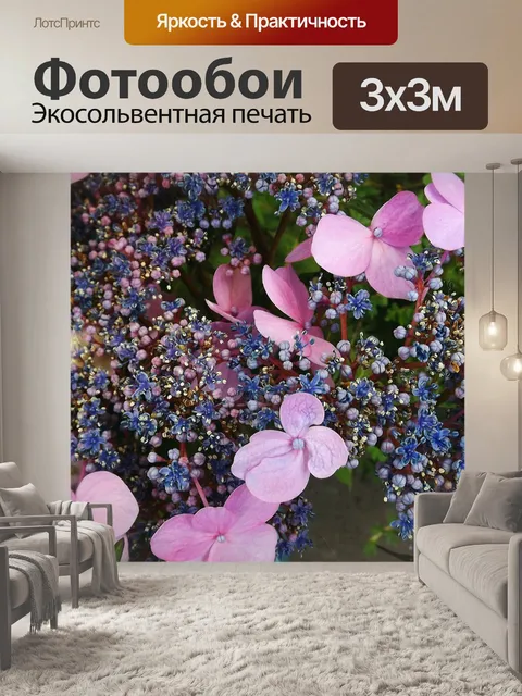 Фотообои Гортензия