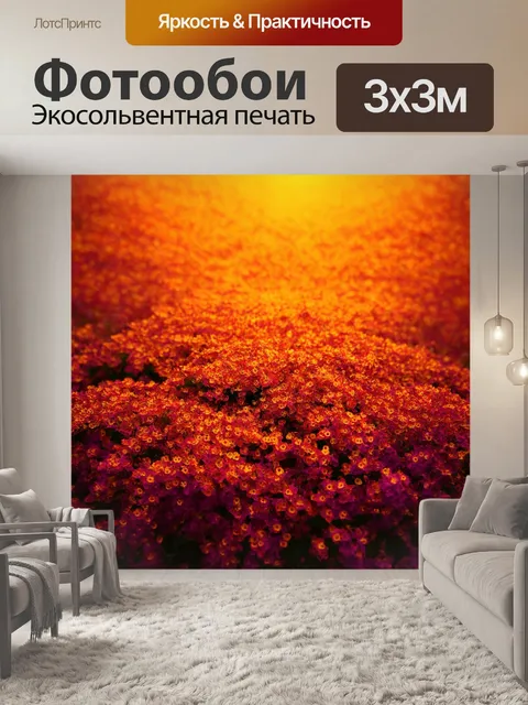 Фотообои градиент тайного знания