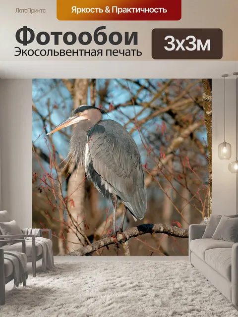 Фотообои Большая голубая цапля