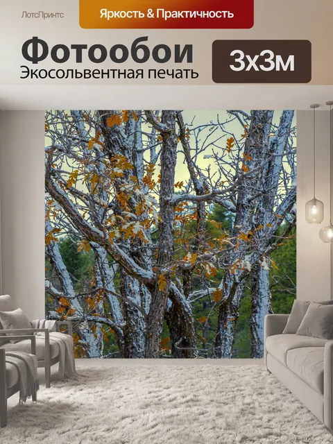Фотообои Снежные осенние ветви