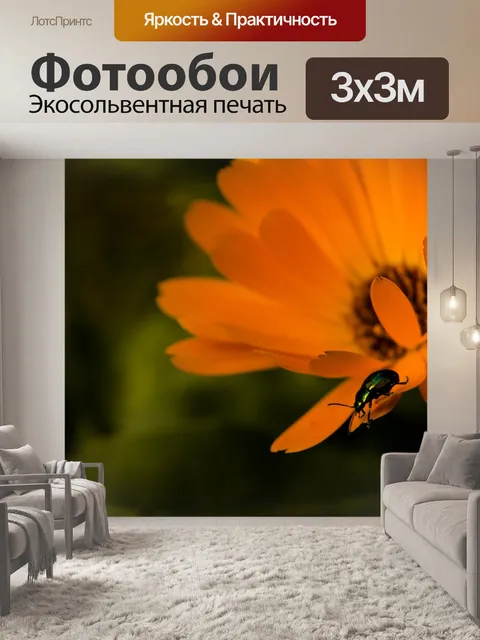 Фотообои Цветок