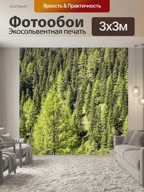 Фотообои Лес