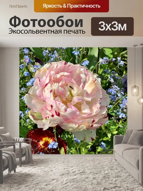 Фотообои Роза
