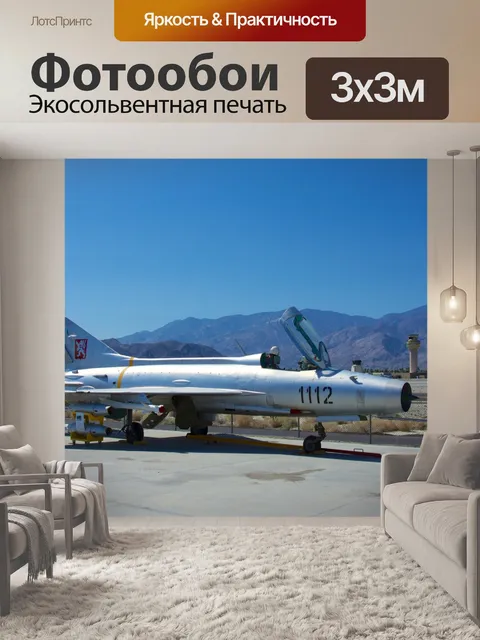 Фотообои Советский Союз МиГ 21