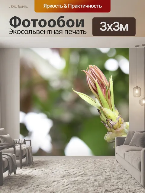 Фотообои Сельская красавица