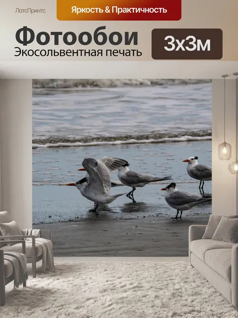 Фотообои стая крачек