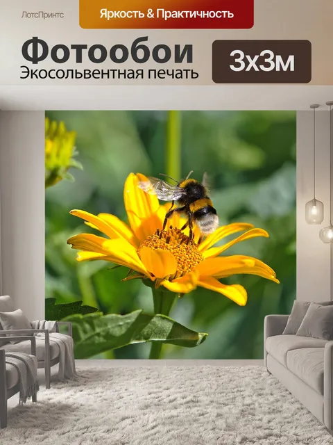Фотообои Пчела