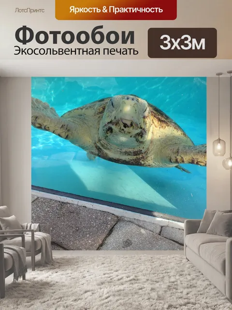 Фотообои Черепахи