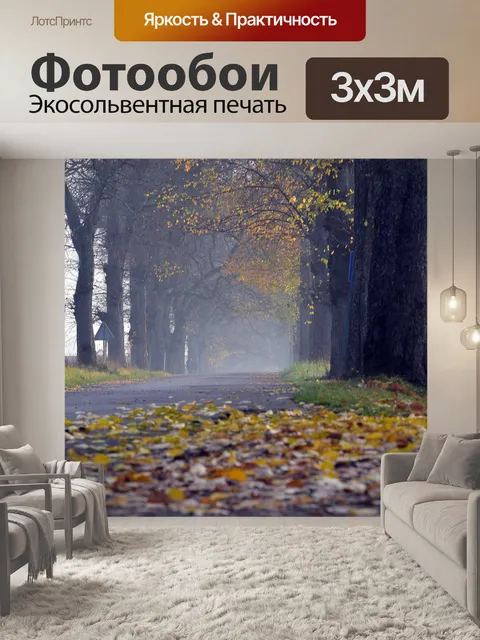 Фотообои Дорожка