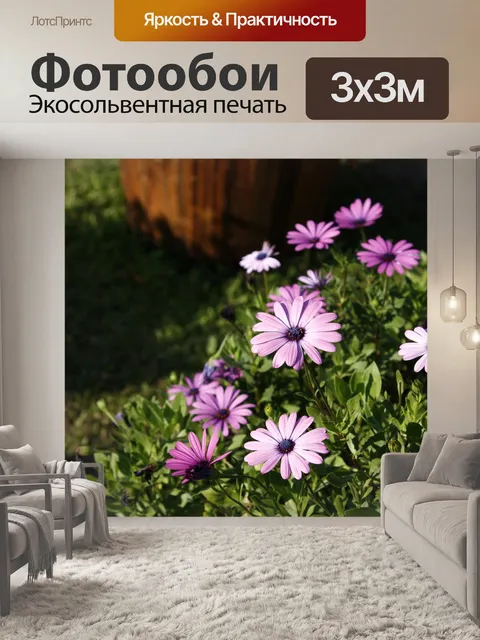 Фотообои Голубые глаза дейзи