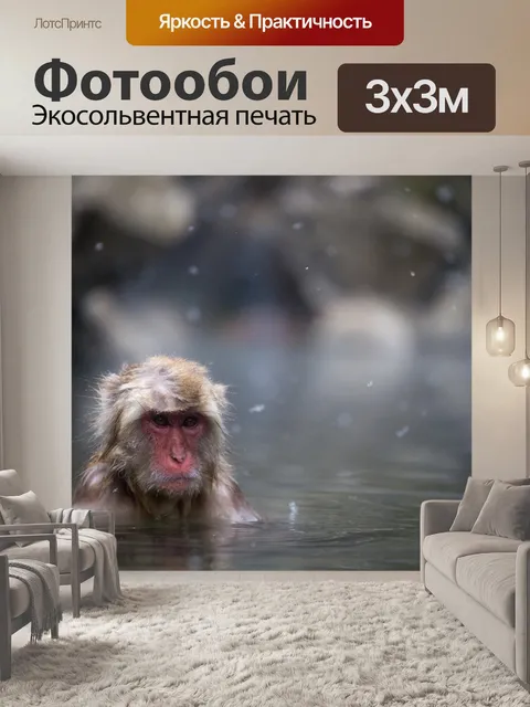 Фотообои Обезьяна