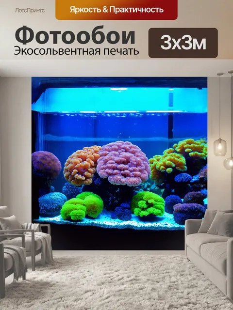 Фотообои аквариум, наполненный живыми кораллами, словно миниатюрный космос, в котором яркие цвета перемешиваются с…