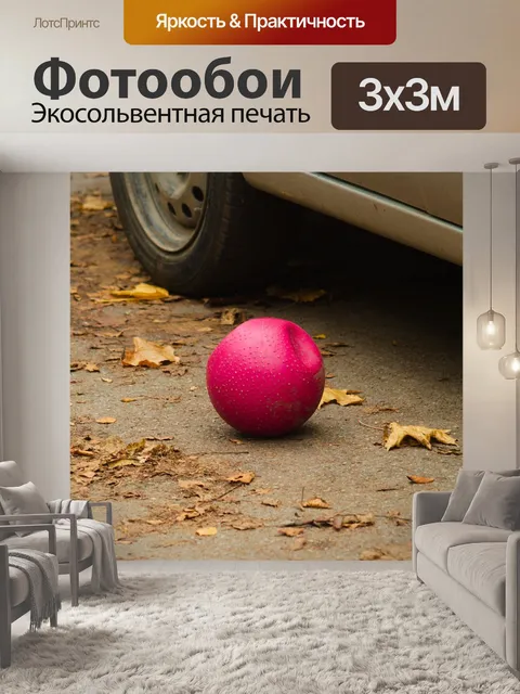 Фотообои Мяч