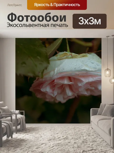 Фотообои Розовый