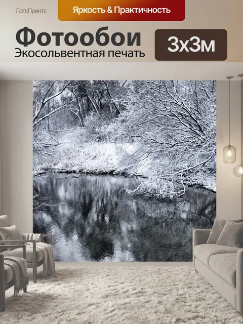 Фотообои Дунай в зимний BW
