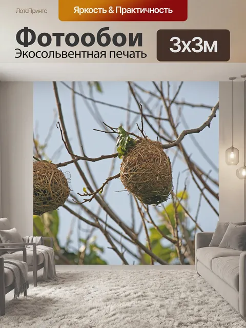 Фотообои гнезда ткача на ветвях