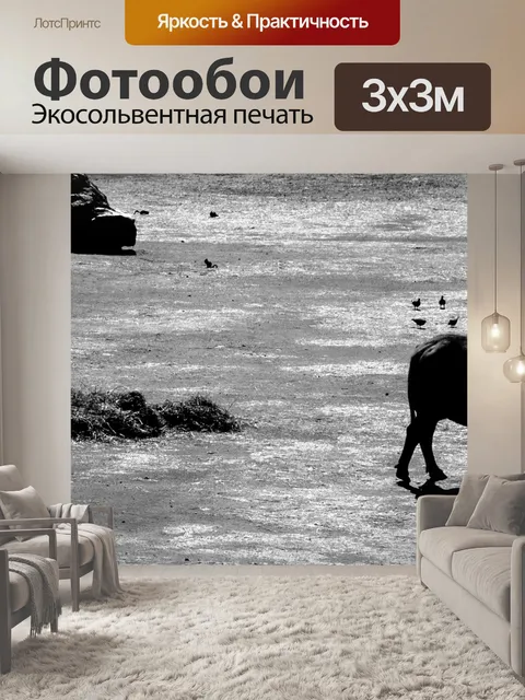 Фотообои Слон, водный буйвол