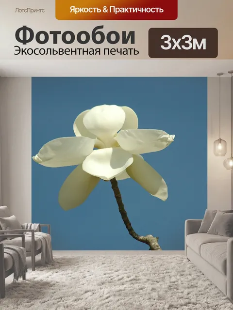 Фотообои Цветок магнолии