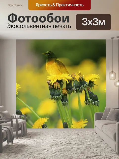 Фотообои Птица