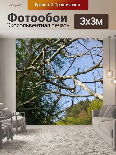 Фотообои Ветви
