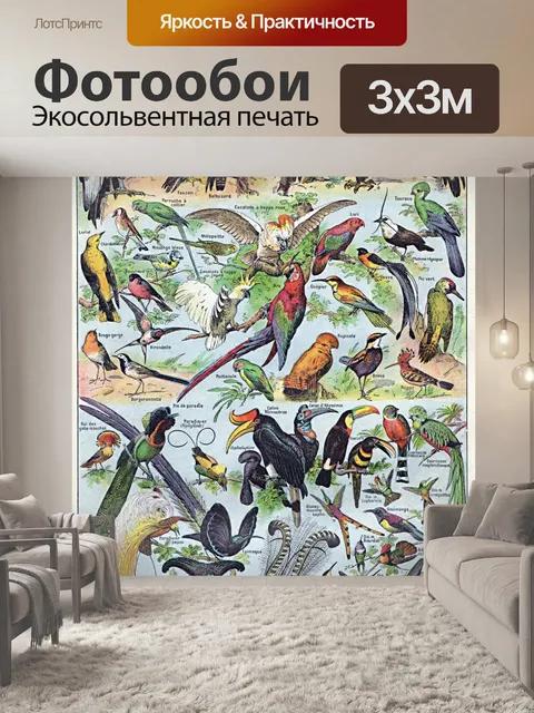 Фотообои Иллюстрация старинного искусства птиц