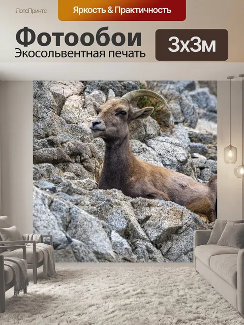 Фотообои Горный козел