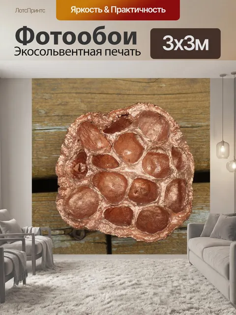 Фотообои что нибудь