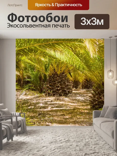Фотообои Под пальмами