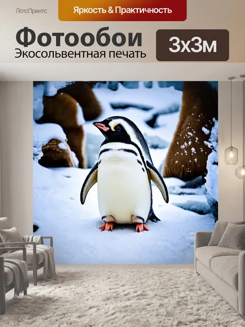 Фотообои пингвин в зоопарке асахияма