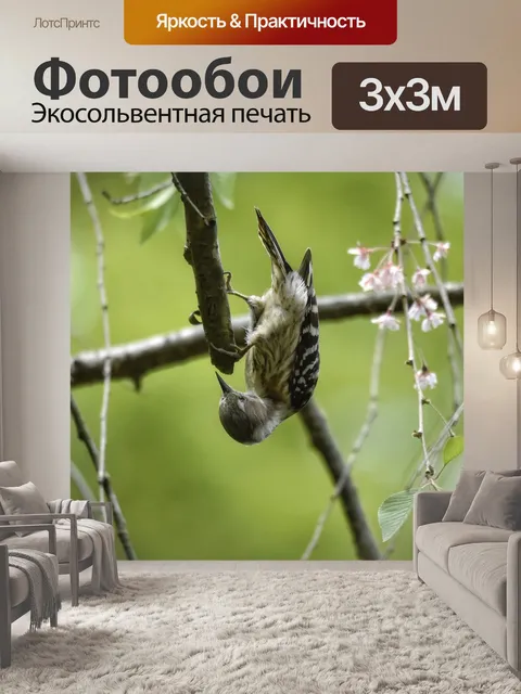 Фотообои Животное