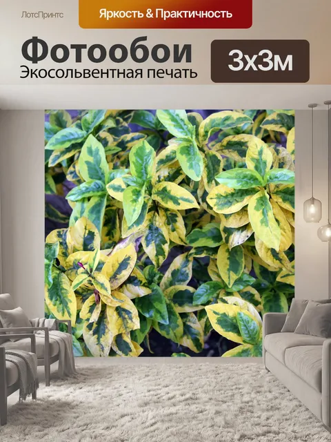 Фотообои желтых и зеленых листьев фон