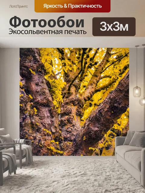 Фотообои Дерево осенью