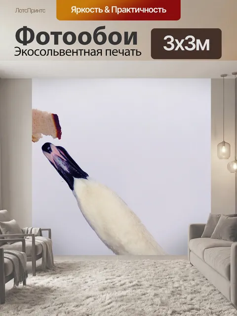Фотообои Немой лебедь