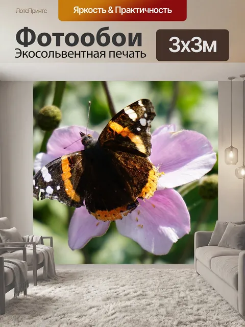 Фотообои Бабочка