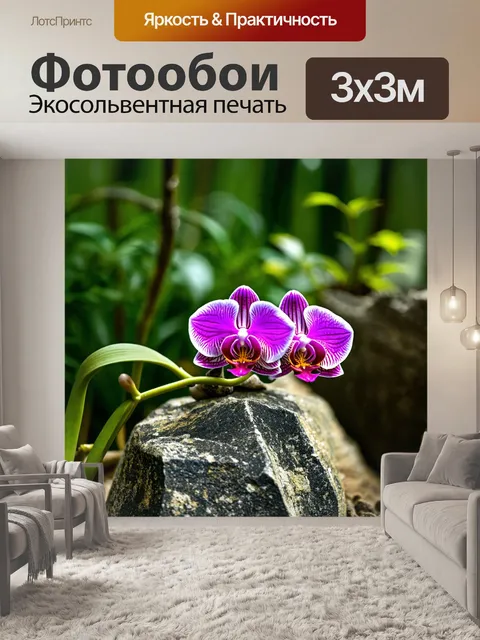 Фотообои орхидея, растущая из камня, символизирующая стойкость