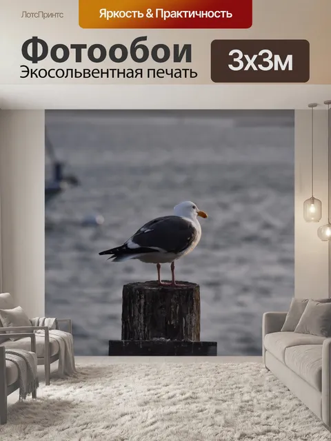 Фотообои Чайка с видом на море