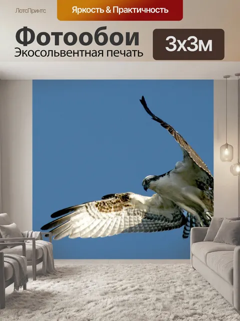 Фотообои Скопа