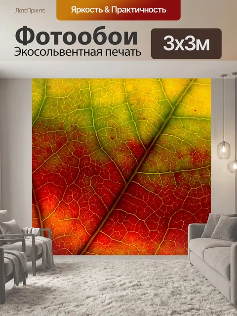 Фотообои Осенняя листва лист макросъемка