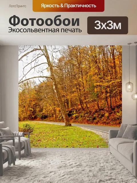 Фотообои Дорога через осенний лес