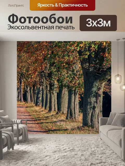 Фотообои Проспект