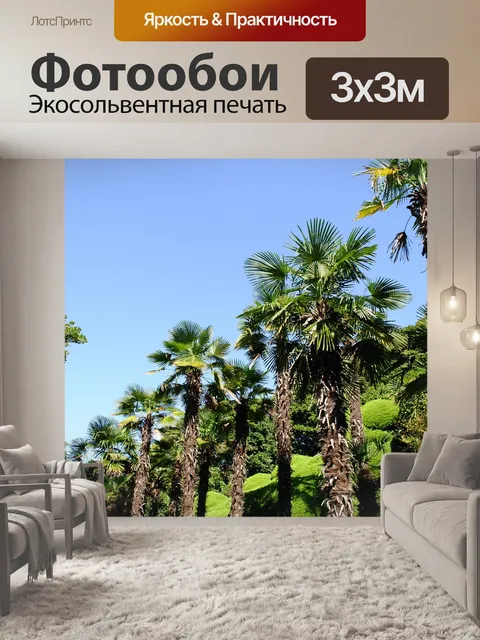 Фотообои Дерево пальмы