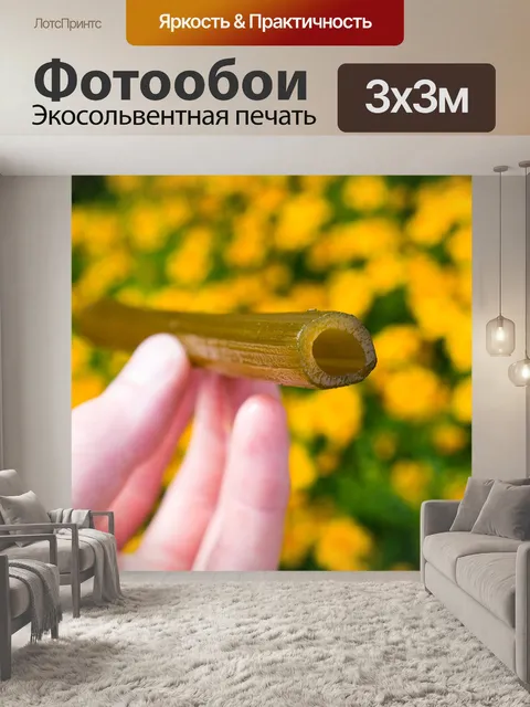 Фотообои Ангельский
